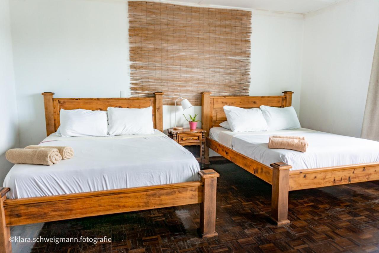 Lost In San Jose Hotel & Hostel Экстерьер фото