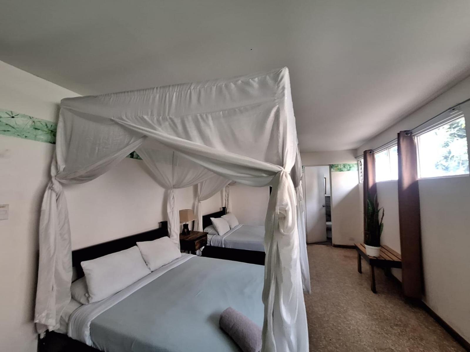 Lost In San Jose Hotel & Hostel Экстерьер фото