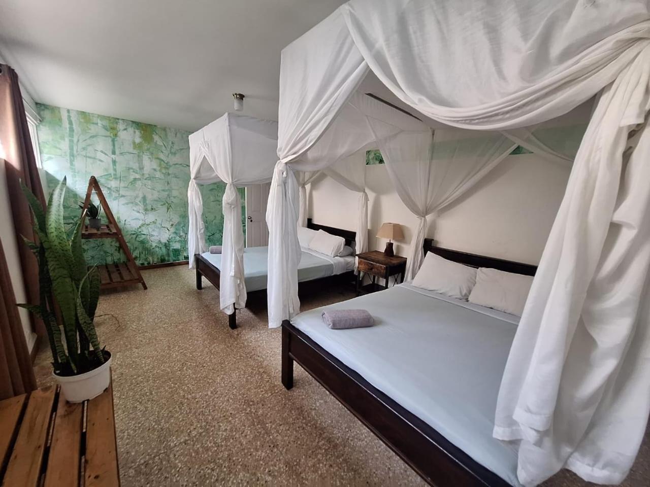 Lost In San Jose Hotel & Hostel Экстерьер фото